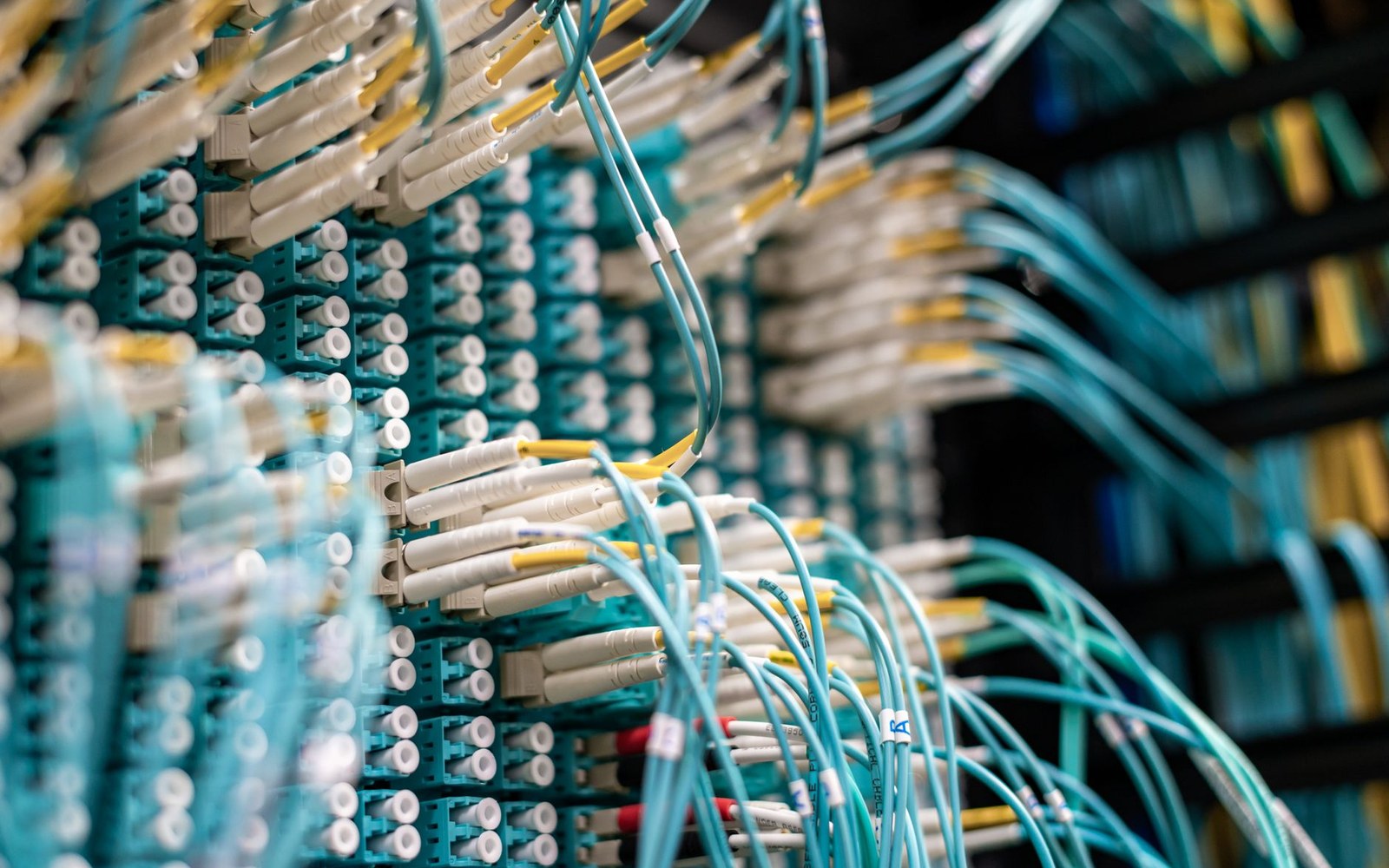 Rows of fiber-optic patch cables plugged into a data center switching panel